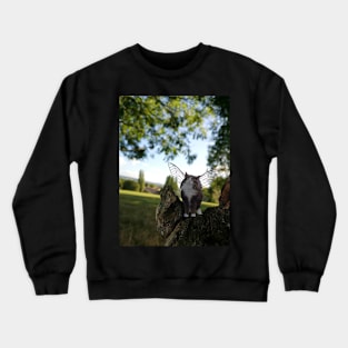 Cat Fairies: Excited Crewneck Sweatshirt